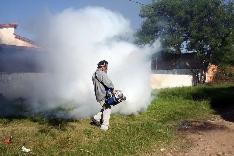 Vecinos de Asunción no bajan la guardia contra el Dengue, Zika y Chikungunya