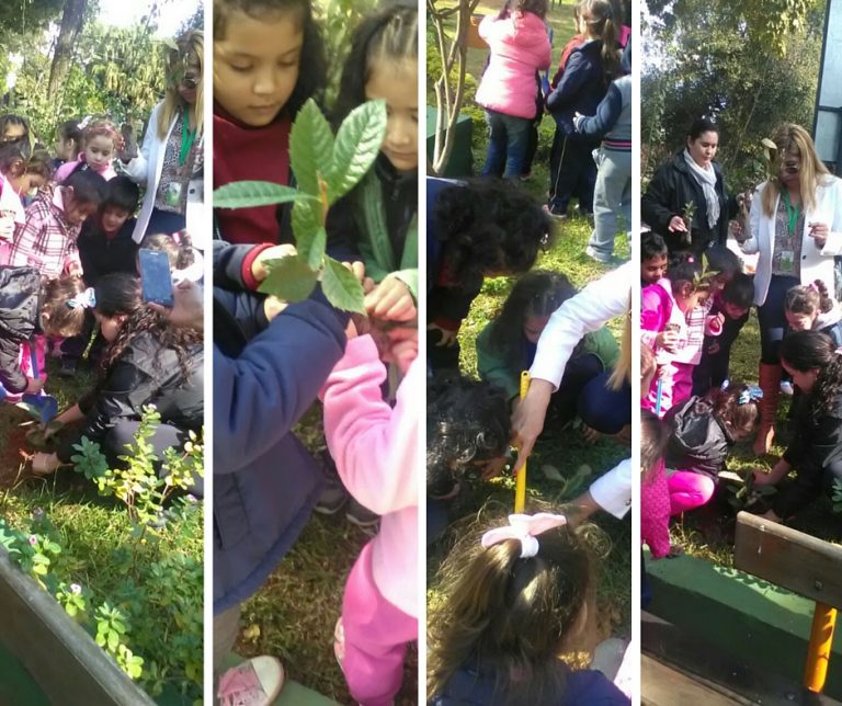 Niños del TEDIM conmemoraron el Día del Árbol