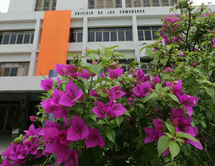 Municipalidad de Asunción pinta de naranja sus plataformas digitales en el Día Internacional contra la Violencia hacia la Mujer
