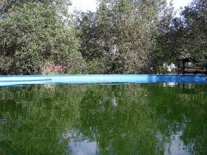Municipalidad de Asunción habilitó 28 piscinas para los bañistas porque se adecuan a normativas.