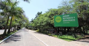 Se controlaron puestos de venta de alimentos en el Jardín Botánico