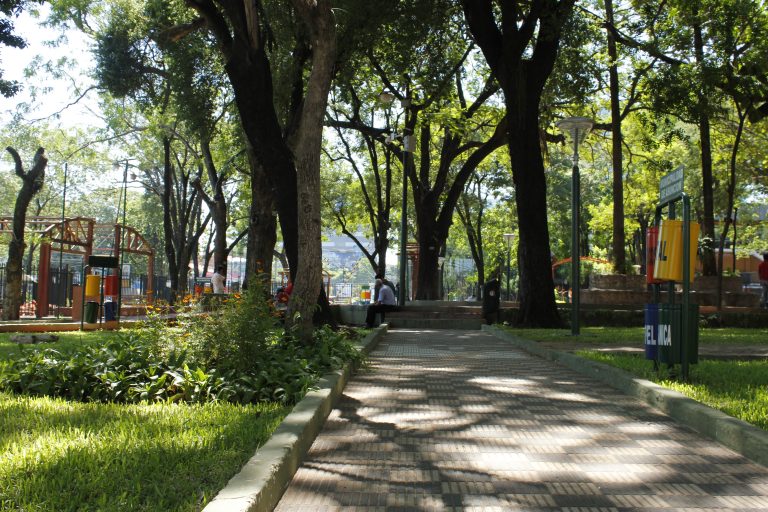Encuesta sobre espacios verdes de Asunción apunta a conocer la opinión de la ciudadanía