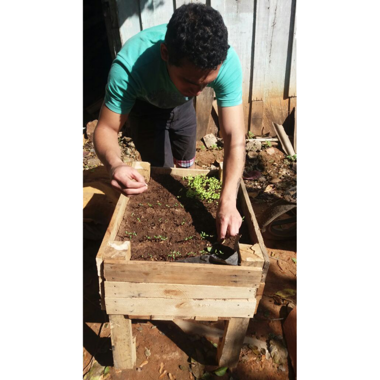 Agroecología Urbana Y Ecosustentabilidad En Los Bañados De Asunción
