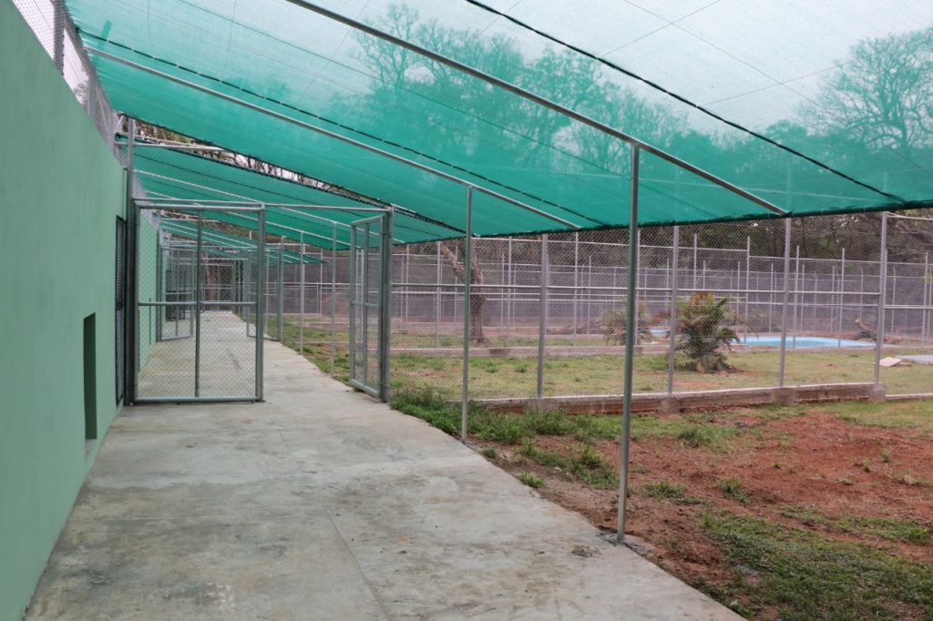 Nuevo hábitat para felinos fue inaugurado en el Jardín Zoológico de Asunción