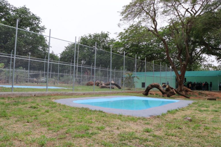 Nuevo hábitat para felinos fue inaugurado en el Jardín Zoológico de Asunción