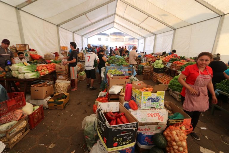 Municipalidad insta a comprar frutas y verduras en el Abasto, ya que no hay desabastecimiento ni subas de precios