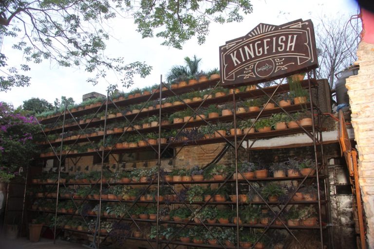 Actividades de “King Fish” fueron suspendidas por falta de licencia comercial y normas de seguridad y prevención contra incendios