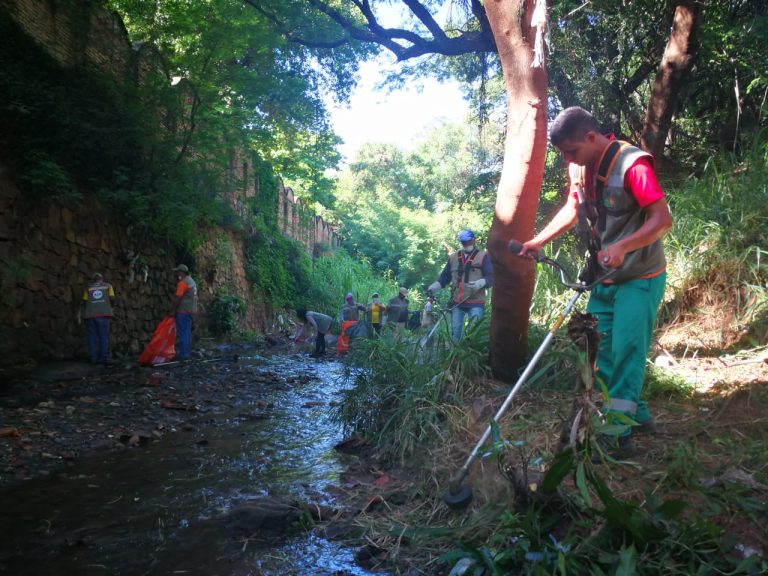 Ciclópea tarea de la Municipalidad de Asunción y de la DGGRRD, con mingas ambientales en la lucha contra el dengue