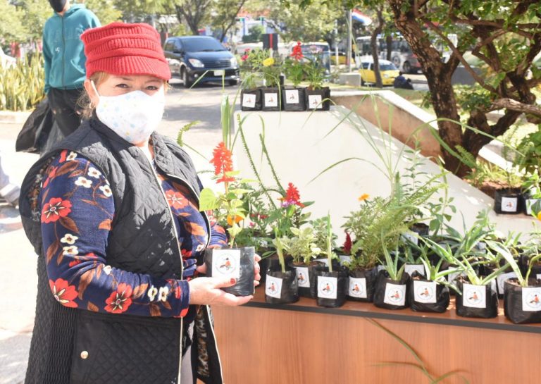 Contribuyentes capitalinos recibieron diferentes especies de plantas por el Día Internacional de la Amistad