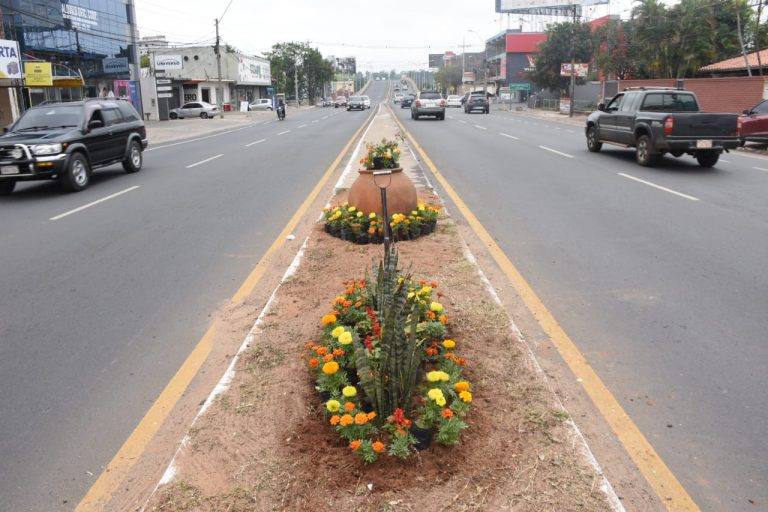 Las calles de Asunción se visten de colores con la colocación de plantas y flores ornamentales en el marco del Operativo Primavera