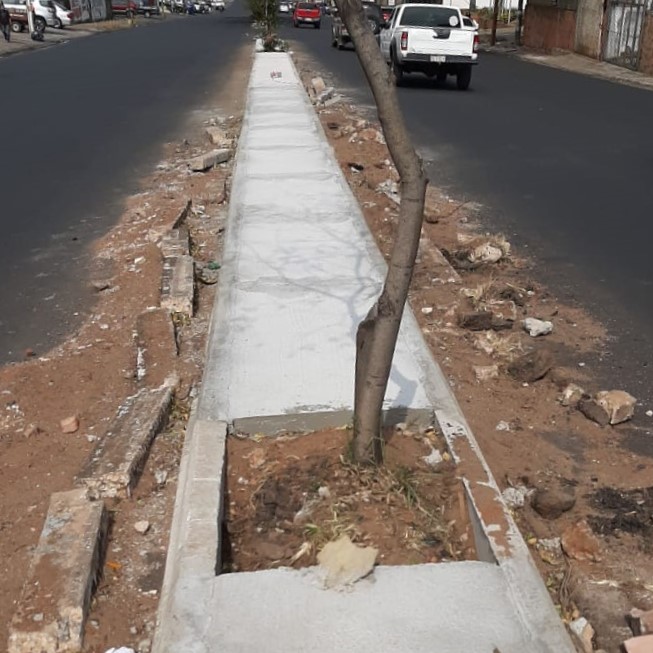 Prosiguen sin pausa los trabajos de mejoramiento vial de la avenida Eusebio Ayala