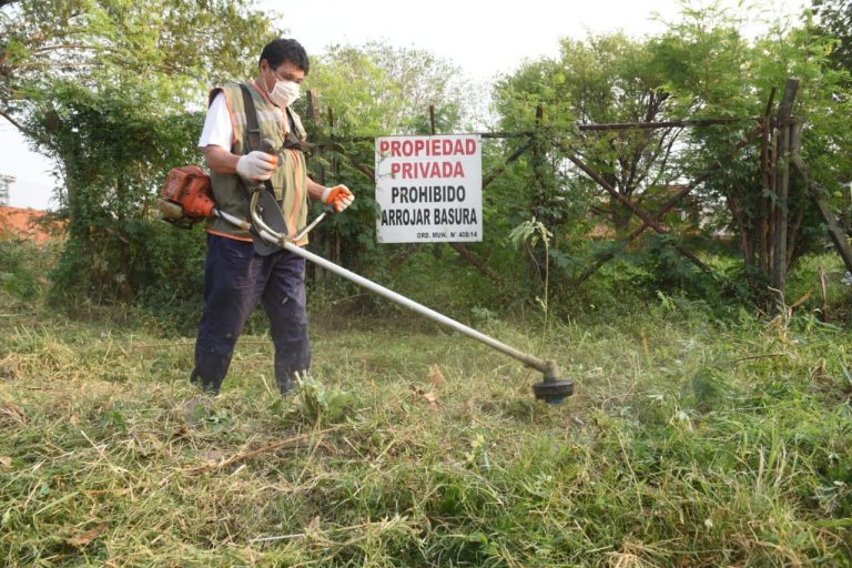 Municipalidad continúa con las jornadas de limpieza en los barrios para combatir los criaderos de dengue