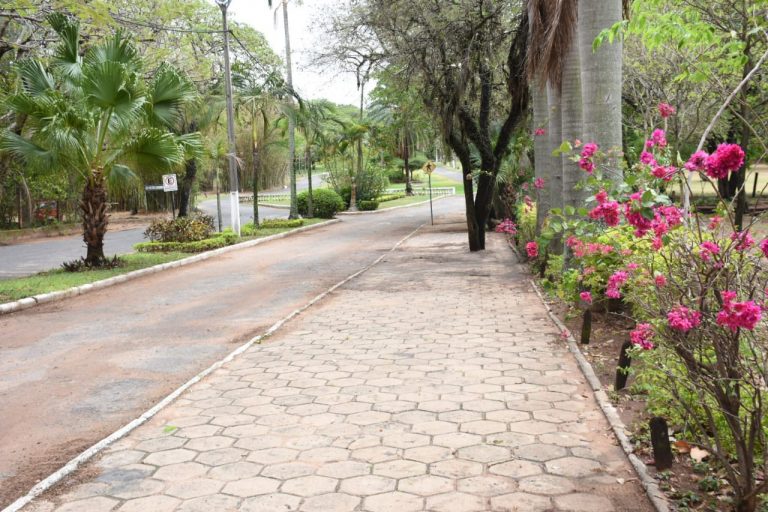 Desde este lunes 26 se reabre el Jardín Botánico solamente para actividades como caminatas, trotes y ejercicios