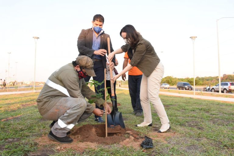 Cincuenta árboles de lapacho fueron plantados en la Costanera de Asunción a iniciativa de la Embajadora de Turquía en Paraguay