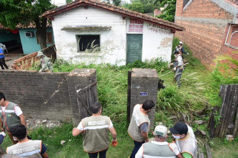 Municipalidad no cesa en su lucha diaria por destruir criaderos de los vectores del dengue en Asunción