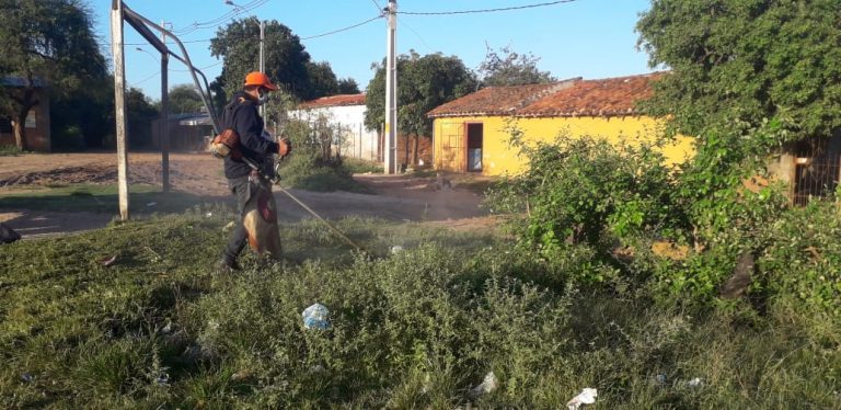 Municipalidad intervino predios en estado de abandono en el marco de la lucha contra el dengue