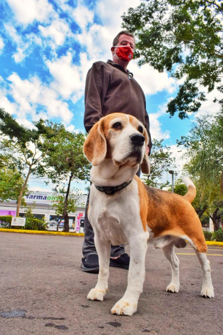 Municipalidad brindó atención gratuita a mascotas en el estacionamiento del CPJ, en el Día Mundial del Perro