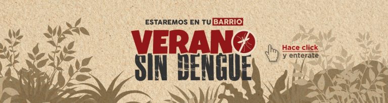 Campaña “Verano sin Dengue” promueve la Municipalidad de Asunción para combatir al mosquito transmisor