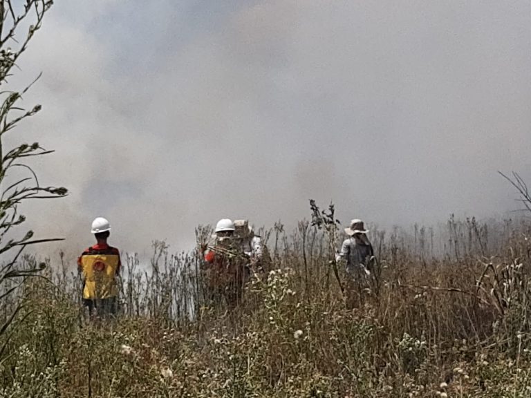 Cuadrillas Municipales y Cuerpos de Bomberos luchan contra la quema de pastizales en la Reserva Ecológica del Banco San Miguel Bahía de Asunción