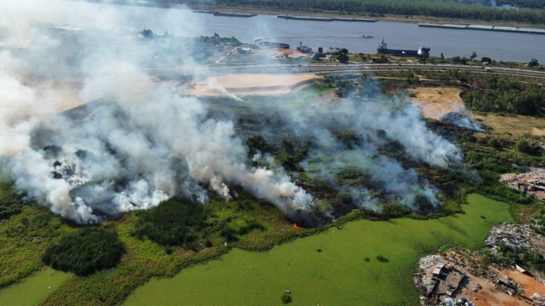 Se extinguieron los focos de incendios provocados en la reserva ecológica del Banco San Miguel y Bahía de Asunción