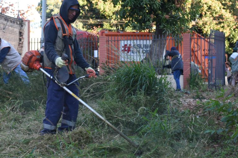 Vivienda en demolición con malezas altas y con pileta con agua servida fue intervenida por cuadrillas de la Municipalidad de Asunción ante denuncia de vecinos