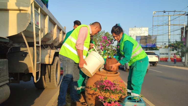 Coloridas flores adornarán Asunción por su 485º Aniversario