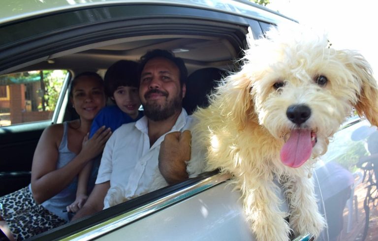 Este sábado 18 de febrero se realizará  la jornada de vacunación canina “Jagua Cabina” en la explanada de la Municipalidad de Asunción en Villa Aurelia