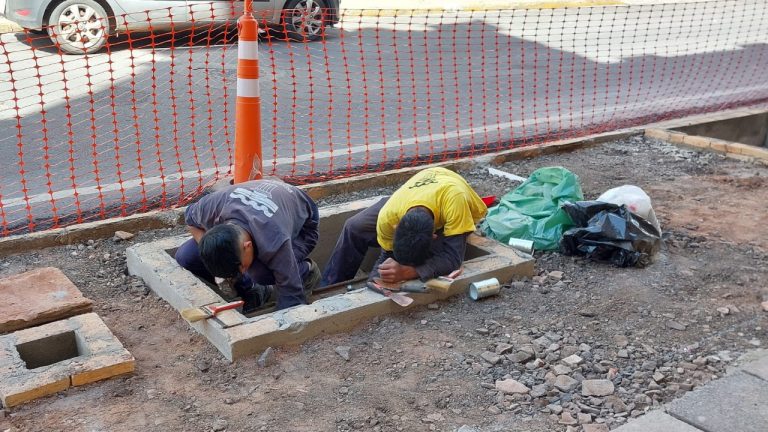 Trabajos de construcción del parklet urbano sobre calle Palma están a punto de concluir