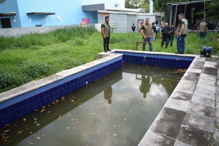 Municipalidad intervino propiedad abandonada llena de criaderos de mosquitos en el barrio Las Lomas