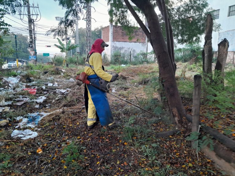 Operativo de Limpieza se realizó en un predio ubicado sobre General Santos y Artigas