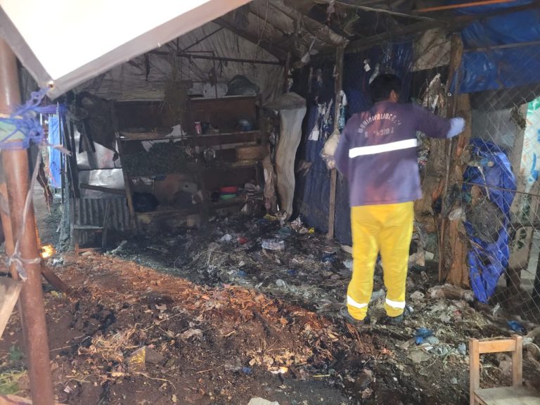 La Municipalidad desmantela un puesto lleno de alimañas en el Paseo de los Yuyos para una limpieza profunda y reacondicionamiento