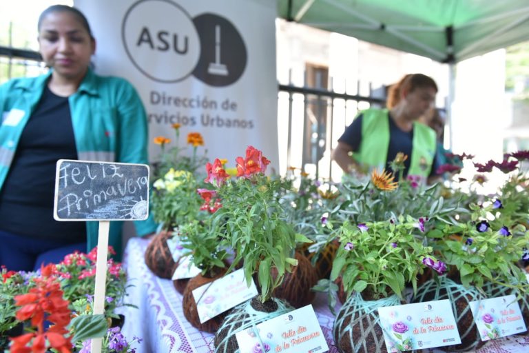 Los productos del Vivero Municipal congregaron a amantes de las flores y plantas a actividad primaveral de la Dirección de Servicios Urbanos en calle Palma