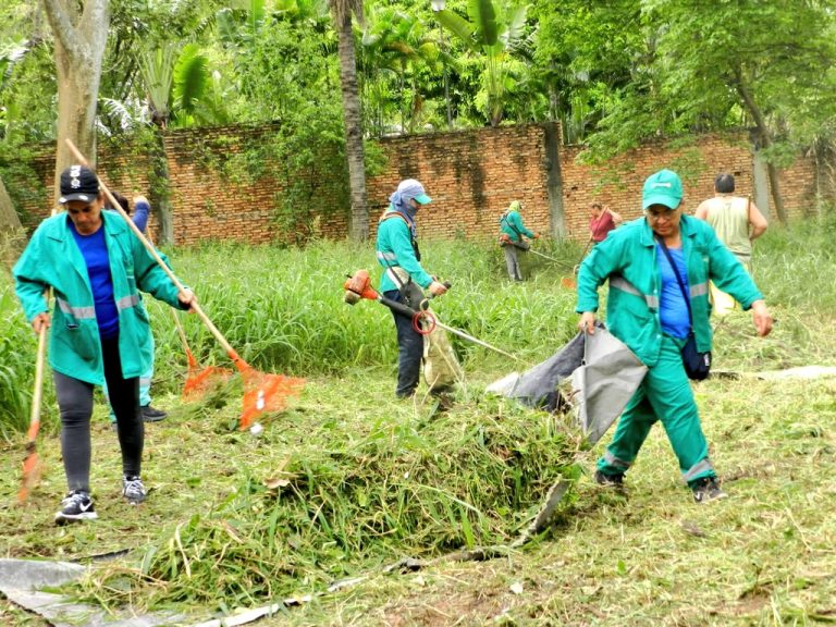 Terreno en total estado de abandono fue limpiado por operarios de la Dirección de Servicios Urbanos de la Comuna en el marco de la lucha contra las enfermedades transmitidas por mosquitos