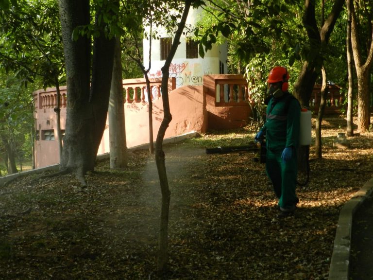 Municipalidad realizó una intensa jornada de minga ambiental en el Parque Carlos Antonio López