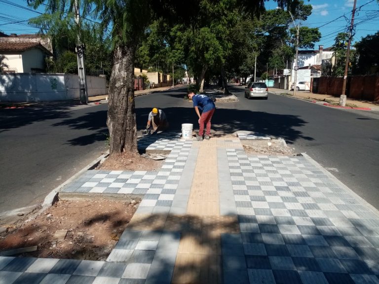 En el paseo central de la avenida Carlos Antonio López, entre Arellano y De las Llanas, reanudan la colocación de pisos