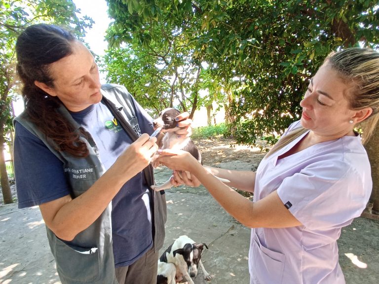 Unidad de Zoonosis de la Municipalidad de Asunción, comienza actividades anuales con vacunación, desparasitación y castración masiva de mascotas en el Banco San Miguel