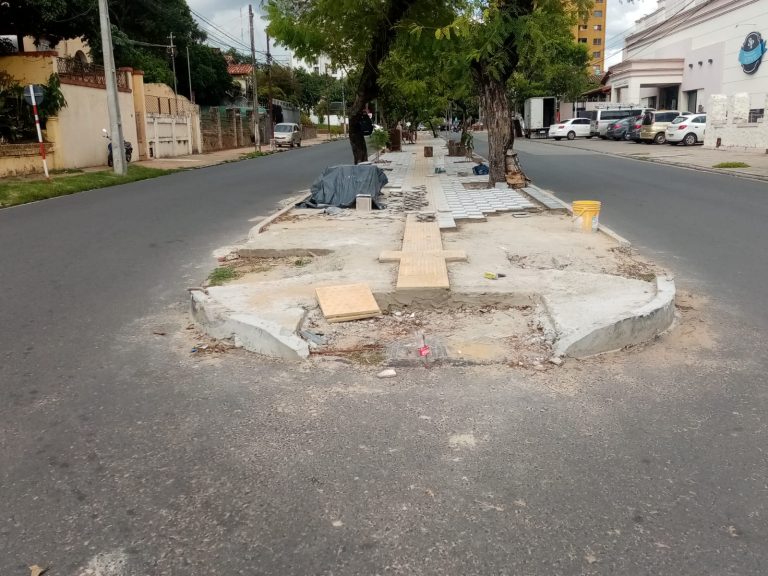 En la avenida Carlos Antonio López siguen trabajos y se hace demarcación para arborizar el paseo central
