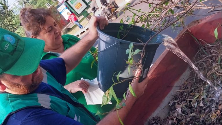 Dirección General de Gestión Ambiental del Municipio realizó jornada de cuidado del arbolado en el paseo central de la avenida Mariscal López y Madame Lynch y en la Plaza Pedro Juan Caballero