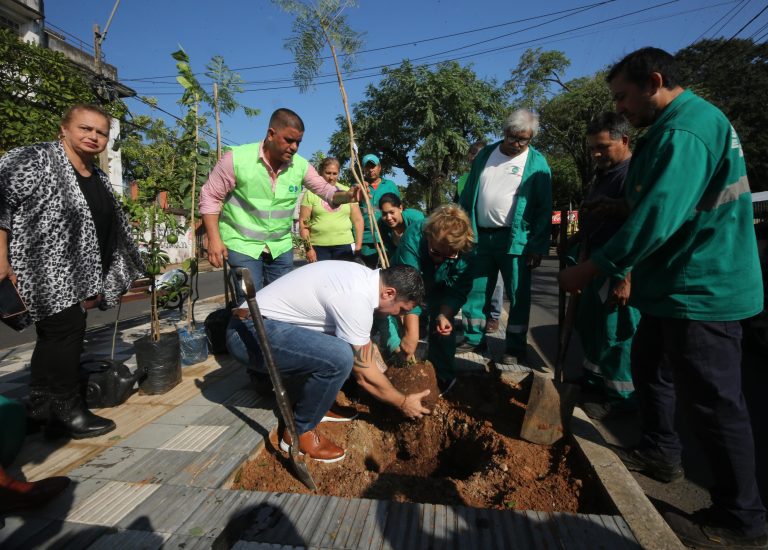 En el día del Árbol se plantaron especies de jacarandá sobre el paseo central de la avenida Carlos Antonio López