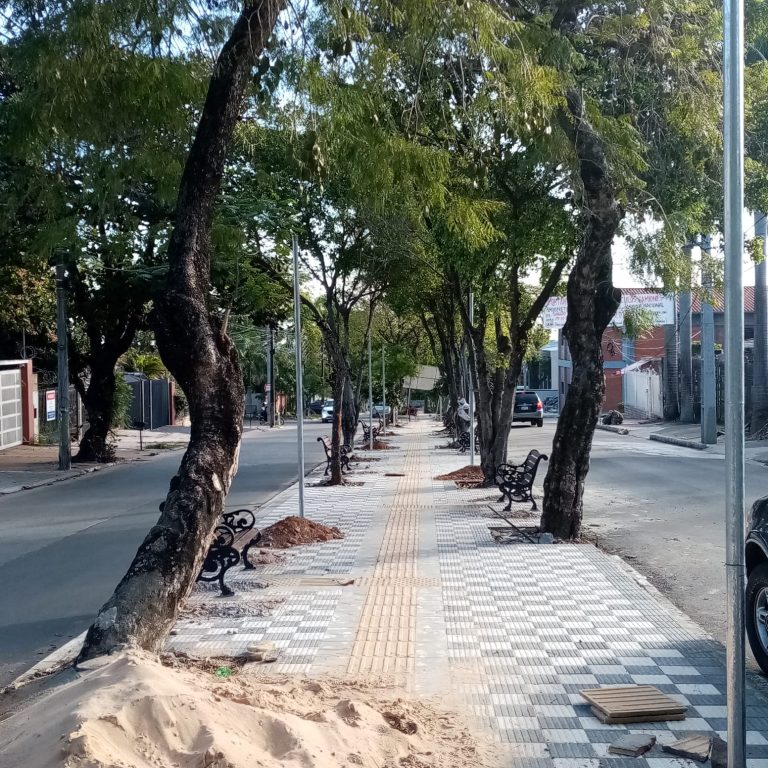 Van concluyendo trabajos de mejoramiento y revitalización del paseo central de la avenida Carlos Antonio López