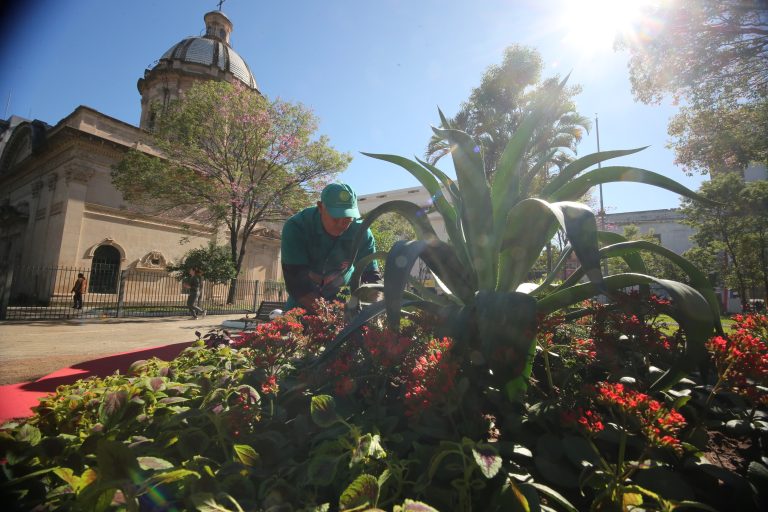 Centro Histórico lució limpio y embellecido para festejar el aniversario 487° de Asunción