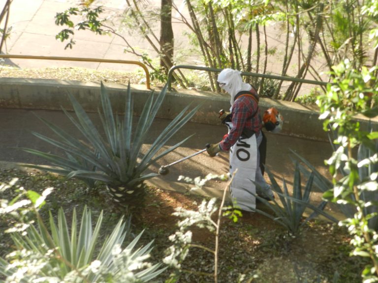 La Bahía de Asunción y el Cerro Lambaré fueron intervenidos por obreros de la Dirección de Servicios Urbanos que realizaron intensas tareas de limpieza y hermoseamiento con excelentes resultados