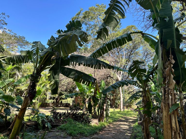 El Centro de Conservación y Educación Ambiental celebra casi tres décadas de vida institucional