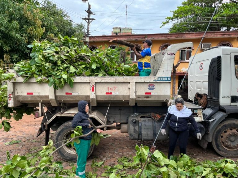 Varios puntos de la ciudad fueron despejados de árboles caídos durante la última tormenta