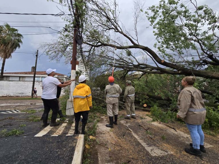Municipalidad realiza intensas tareas de limpieza y despejes tras temporal