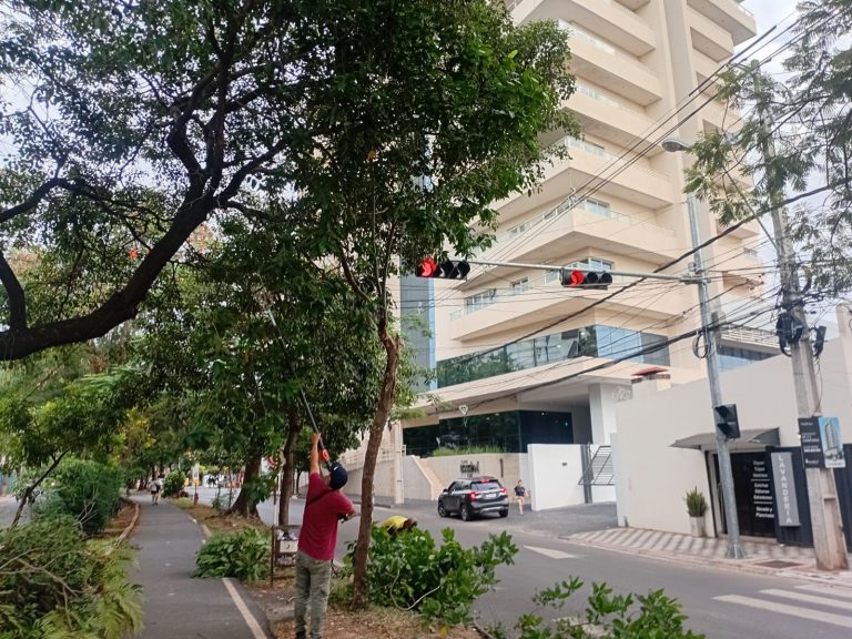 La Dirección de Servicios Urbanos impulsa el plan “Más visibilidad, más seguridad vial” en distintos puntos de Asunción