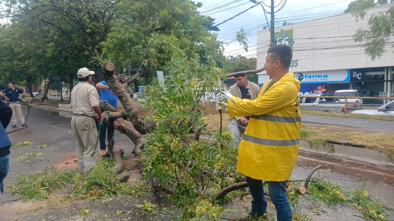 Ante pronósticos de intensas lluvias, la Municipalidad activa protocolo preventivo y refuerza recomendaciones a la ciudadanía