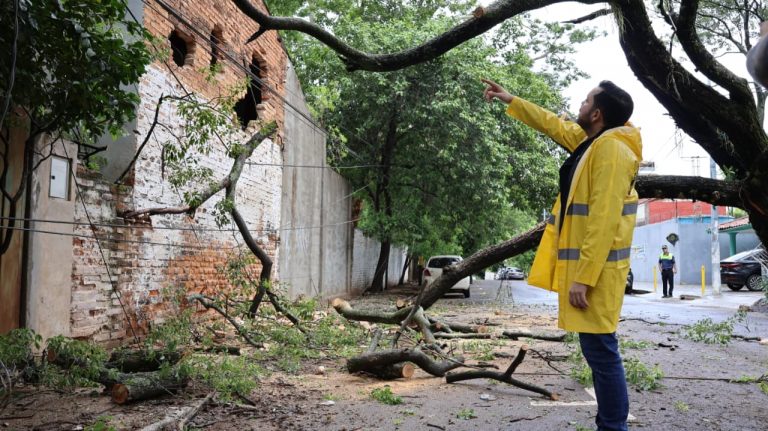 Se intensifican trabajos de reparación de calles tras temporal que afectó a la capital