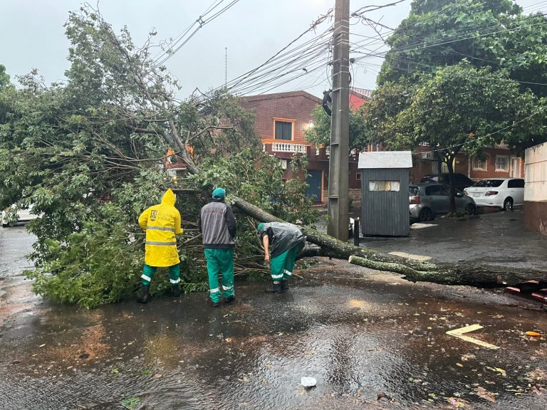 Dirección de Servicios Urbanos intensifica trabajos ante intensas lluvias