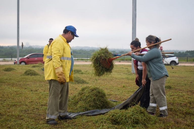 Gran minga ambiental se realizó en la Costanera Sur